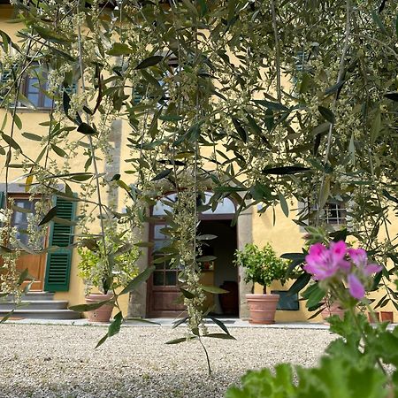 Villa Rigacci Reggello Exterior foto