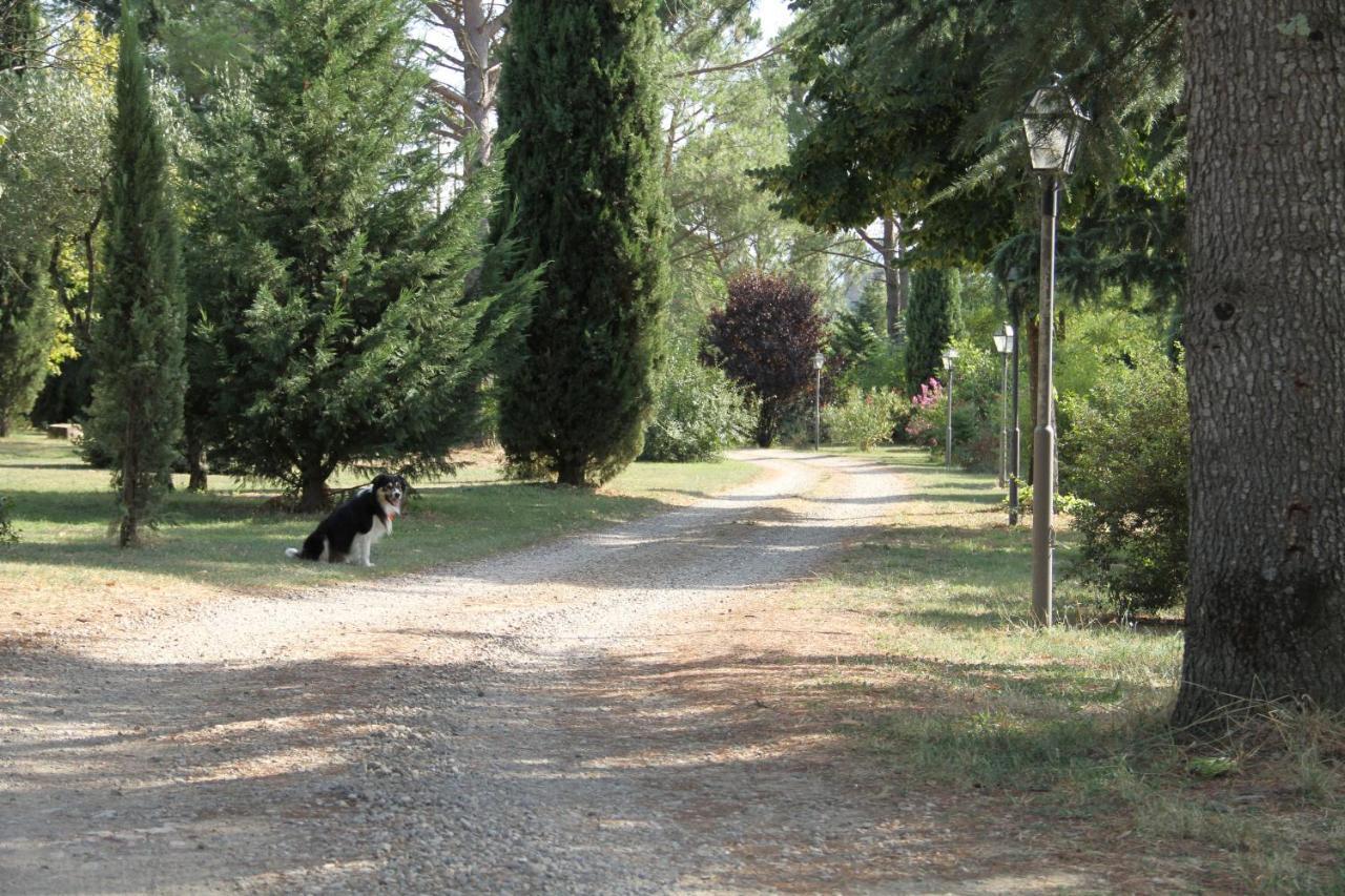 Villa Rigacci Reggello Exterior foto