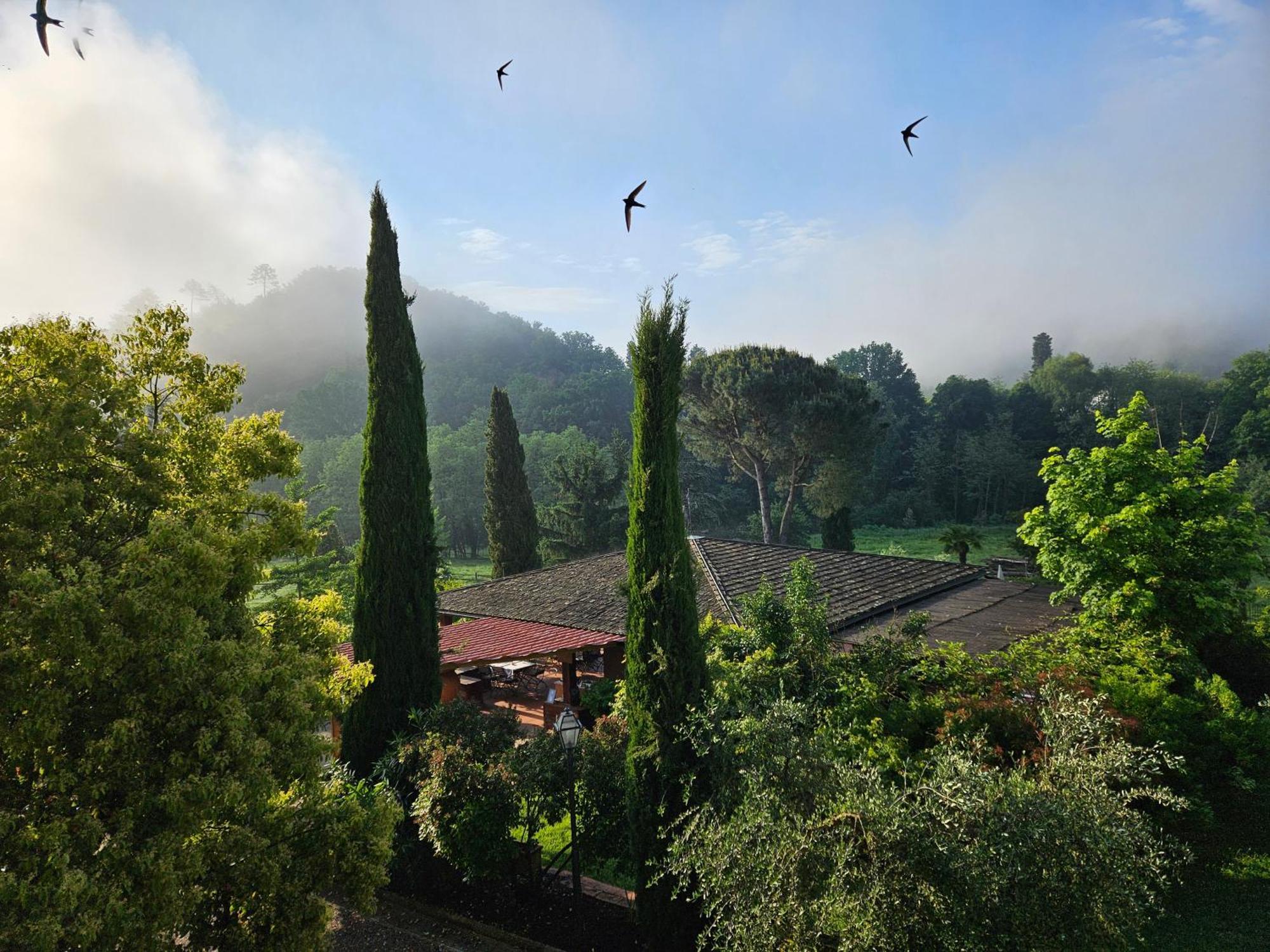 Villa Rigacci Reggello Exterior foto