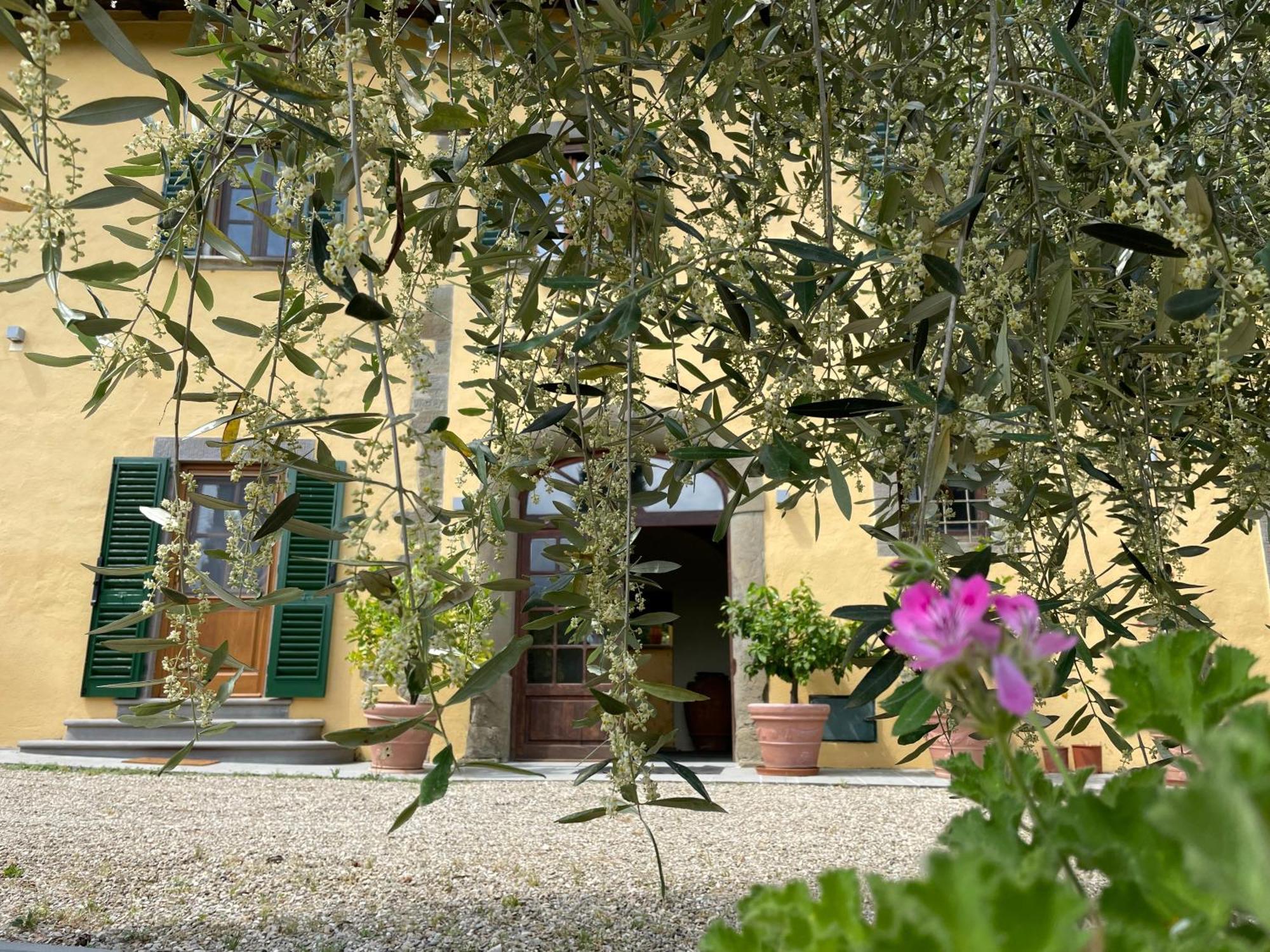 Villa Rigacci Reggello Exterior foto
